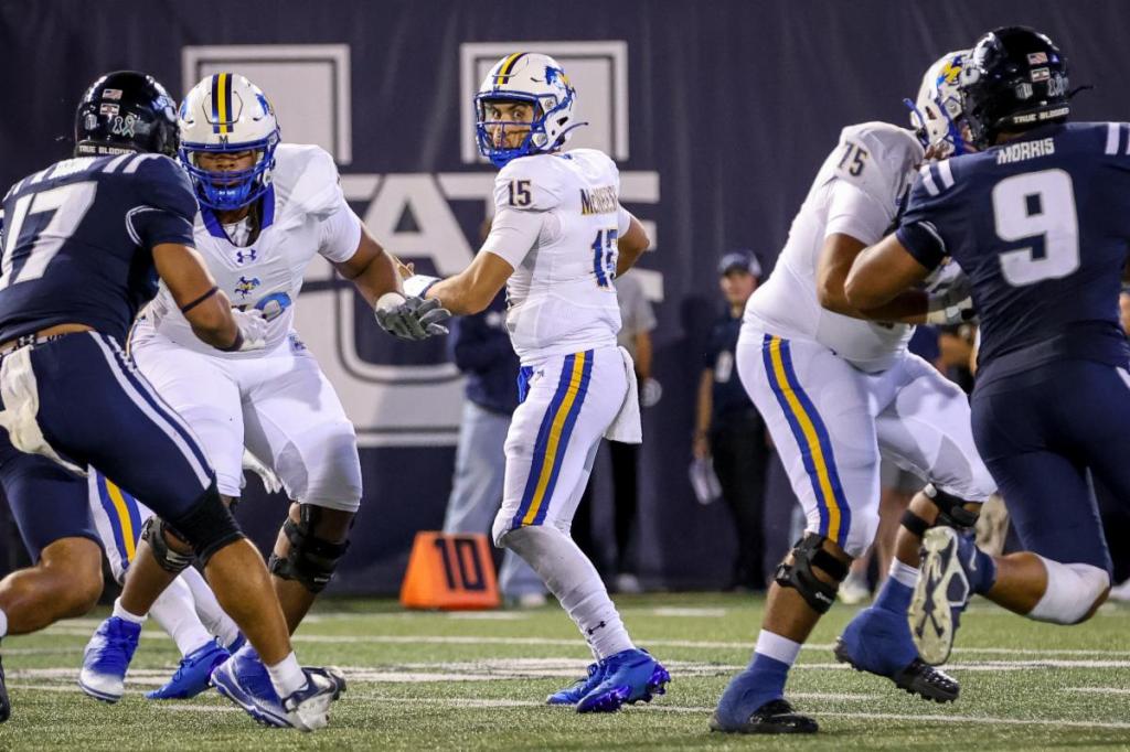 Challenging Week Four for McNeese&nbsp;Athletics