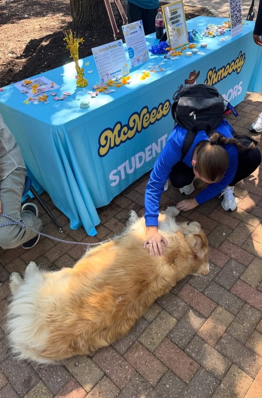 Therapy Dogs Visit McNeese for Midterm Mood&nbsp;Boost